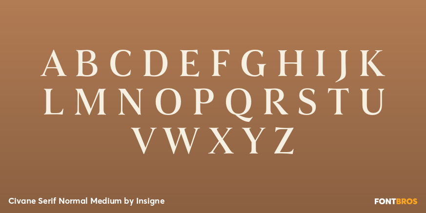 Civane Serif Normal Medium Font Poster #2