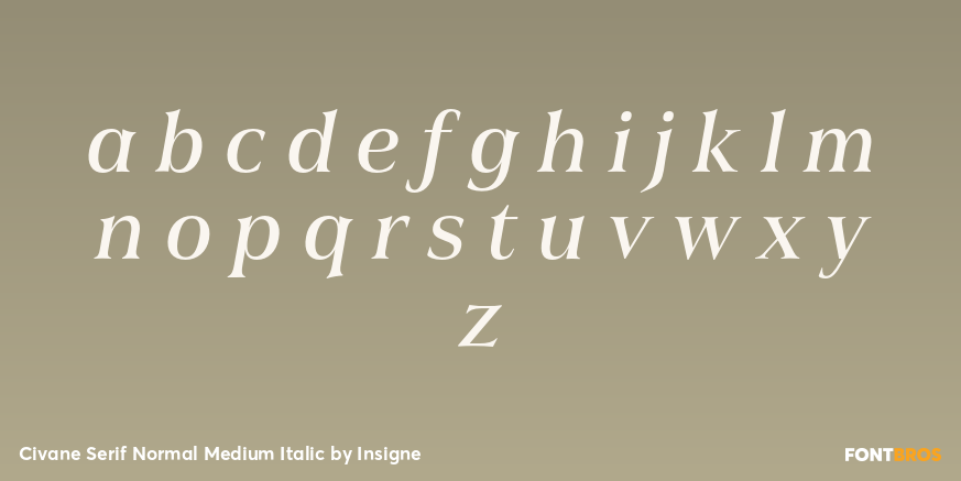 Civane Serif Normal Medium Italic Font Poster #3