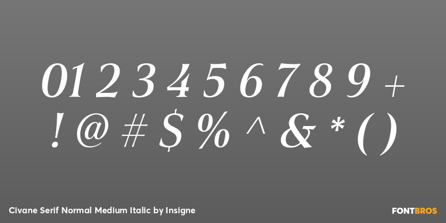 Civane Serif Normal Medium Italic Font Poster #4
