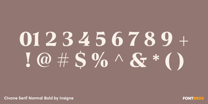 Civane Serif Normal Bold Font Poster #1