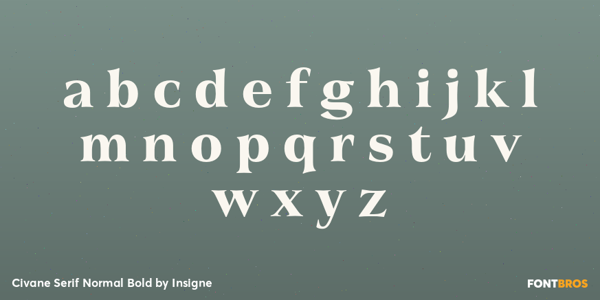 Civane Serif Normal Bold Font Poster #3