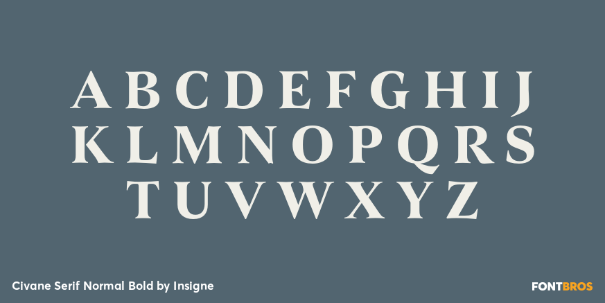 Civane Serif Normal Bold Font Poster #1