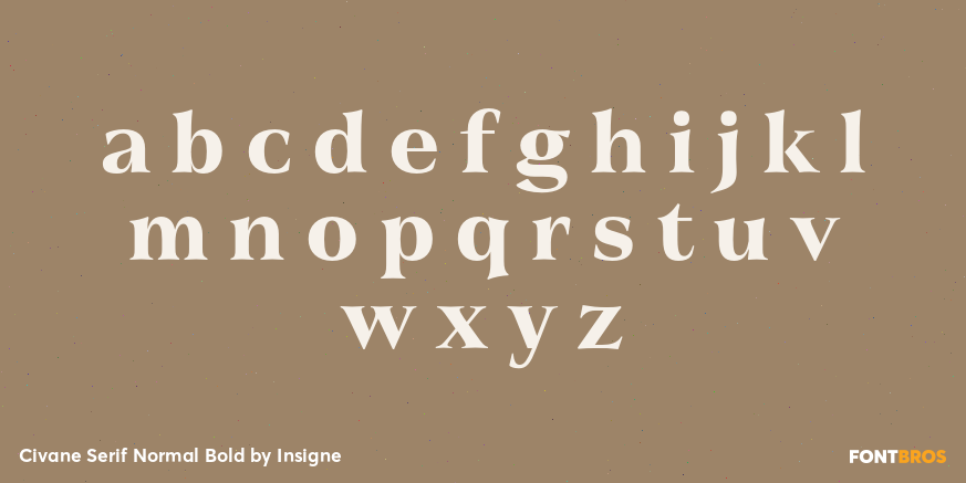 Civane Serif Normal Bold Font Poster #1
