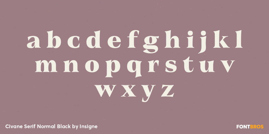 Civane Serif Normal Black Font Poster #3