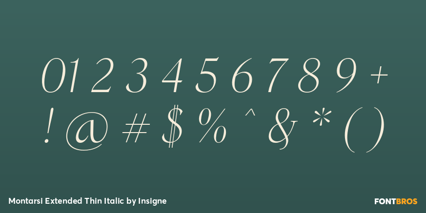 Montarsi Extended Thin Italic Font Poster #1