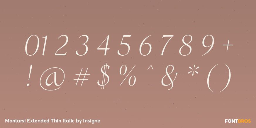 Montarsi Extended Thin Italic Font Poster #4