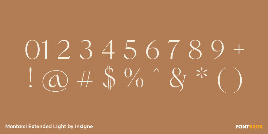 Montarsi Extended Light Font Poster #1