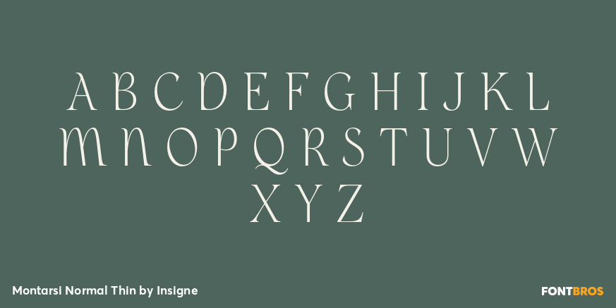 Montarsi Normal Thin Font Poster #2