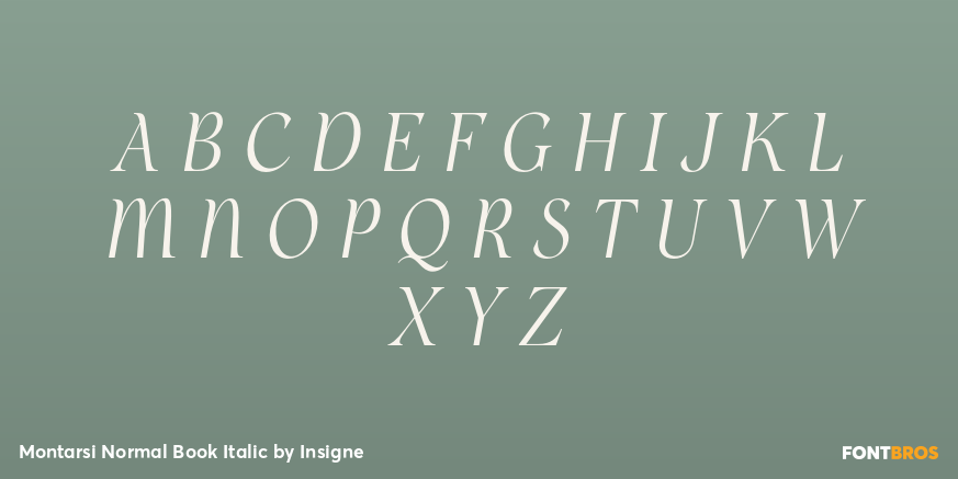 Montarsi Normal Book Italic Font Poster #2