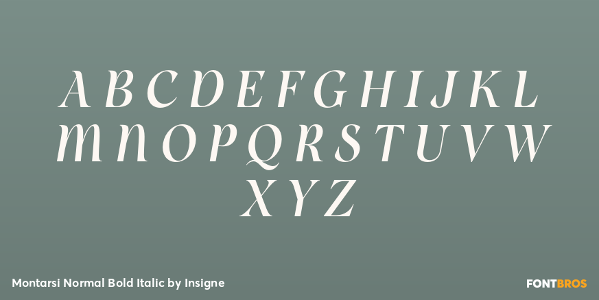 Montarsi Normal Bold Italic Font Poster #2