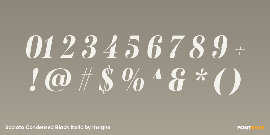 Sociato Condensed Black Italic Font Poster #4