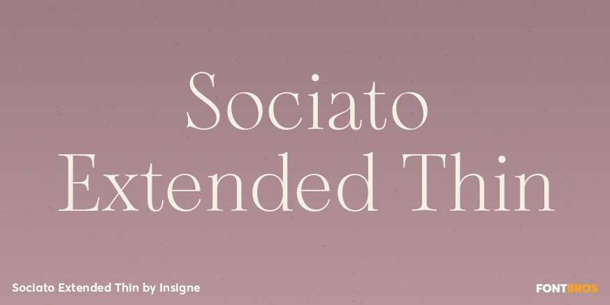 Sociato Extended Thin Font Poster #1