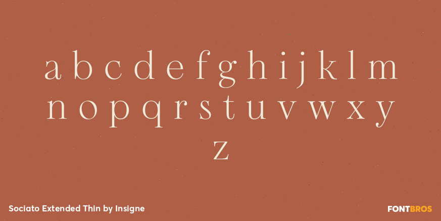 Sociato Extended Thin Font Poster #3