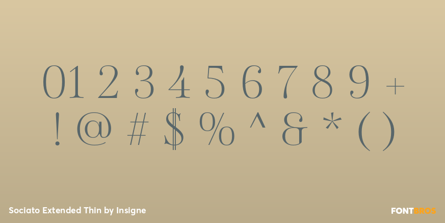 Sociato Extended Thin Font Poster #4