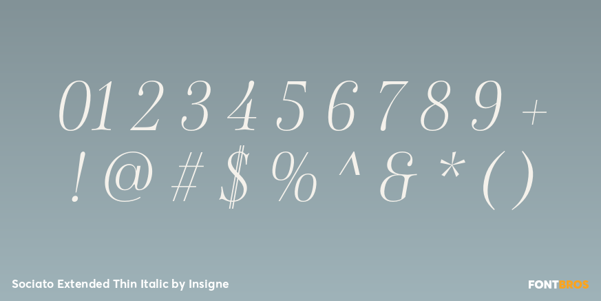 Sociato Extended Thin Italic Font Poster #1