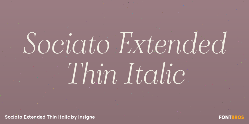 Sociato Extended Thin Italic Font Poster #1