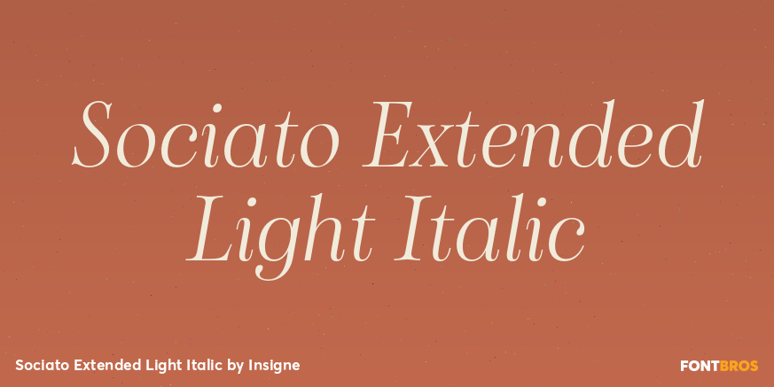 Sociato Extended Light Italic Font Poster #1