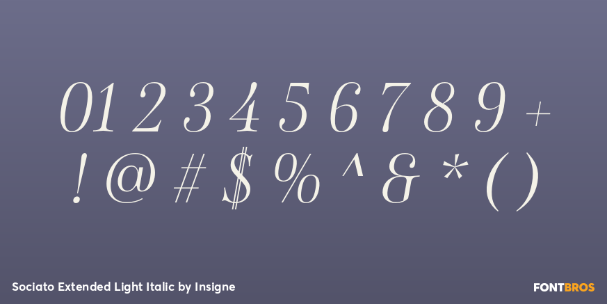 Sociato Extended Light Italic Font Poster #4