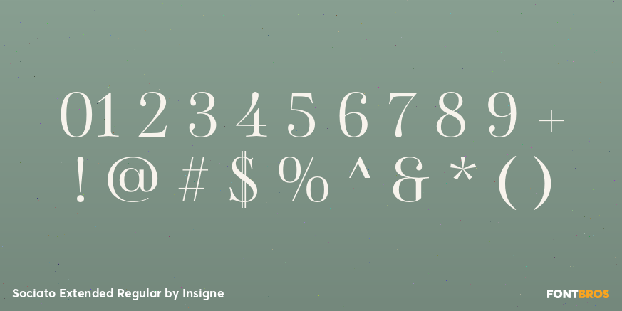 Sociato Extended Regular Font Poster #1