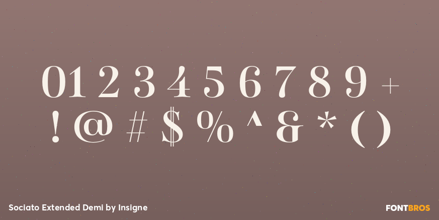 Sociato Extended Demi Font Poster #4