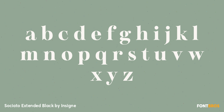 Sociato Extended Black Font Poster #3