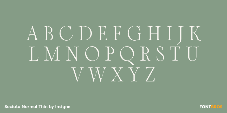 Sociato Normal Thin Font Poster #2