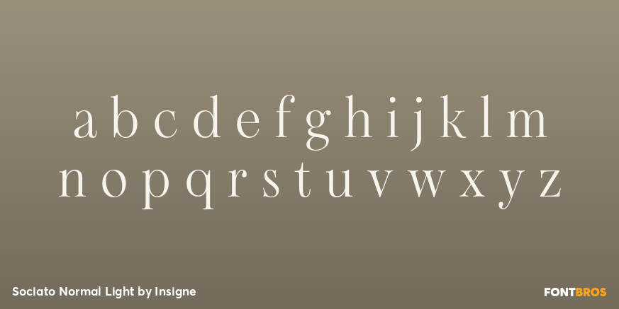 Sociato Normal Light Font Poster #3