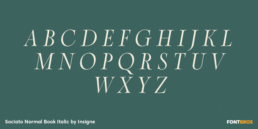 Sociato Normal Book Italic Font Poster #2