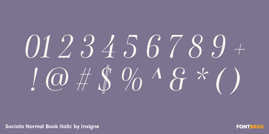 Sociato Normal Book Italic Font Poster #4