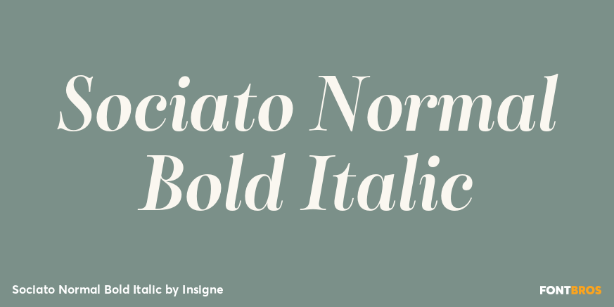 Sociato Normal Bold Italic Font Poster #1