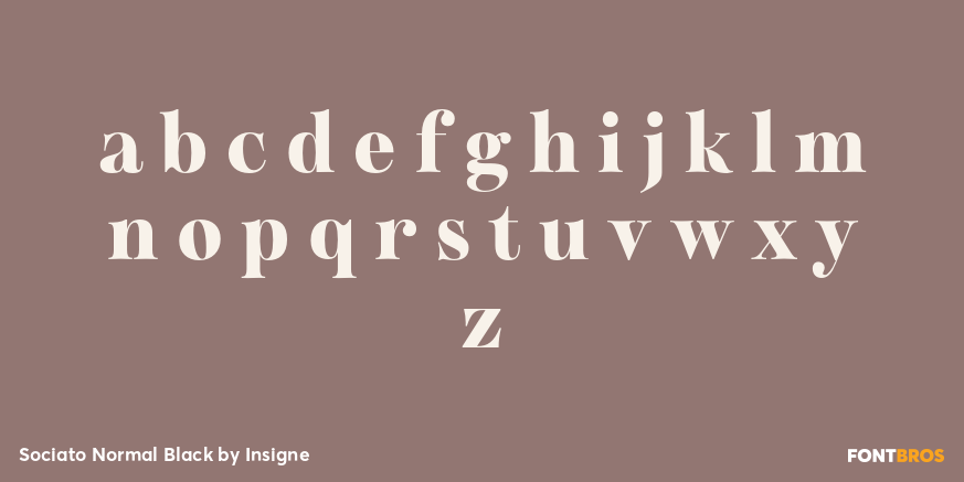 Sociato Normal Black Font Poster #3