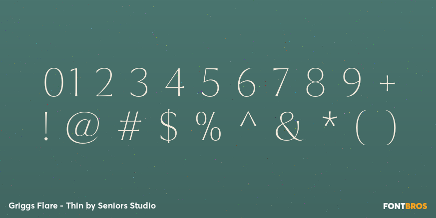 Griggs Flare - Thin Font Poster #4