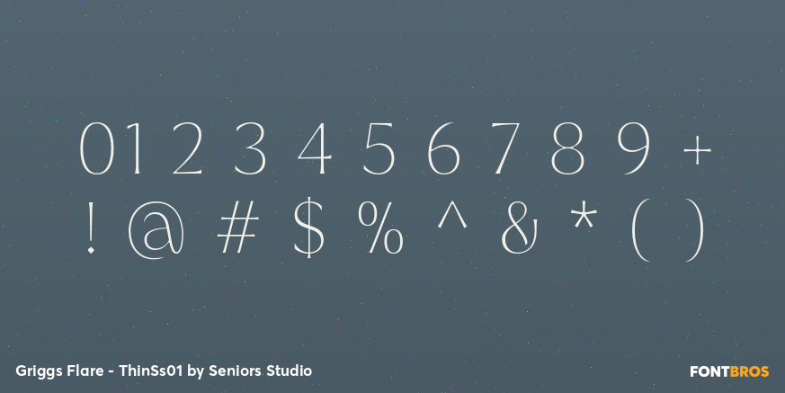 Griggs Flare - ThinSs01 Font Poster #4