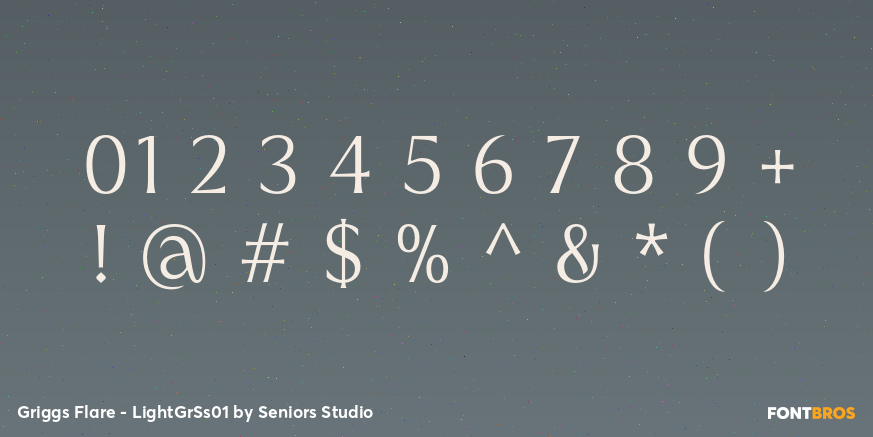 Griggs Flare - LightGrSs01 Font Poster #4