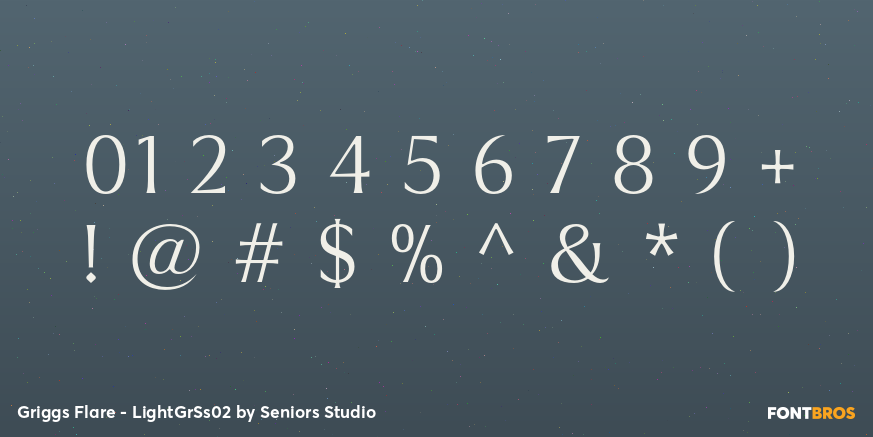 Griggs Flare - LightGrSs02 Font Poster #4