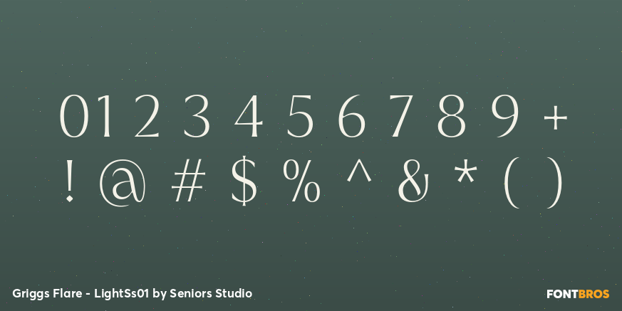 Griggs Flare - LightSs01 Font Poster #1