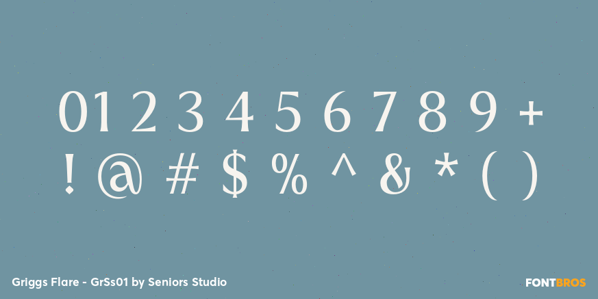 Griggs Flare - GrSs01 Font Poster #4