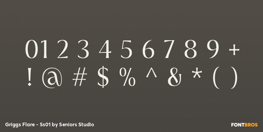 Griggs Flare - Ss01 Font Poster #4