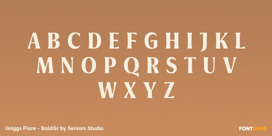 Griggs Flare - BoldGr Font Poster #2