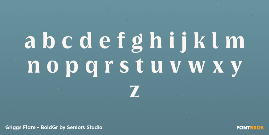 Griggs Flare - BoldGr Font Poster #3