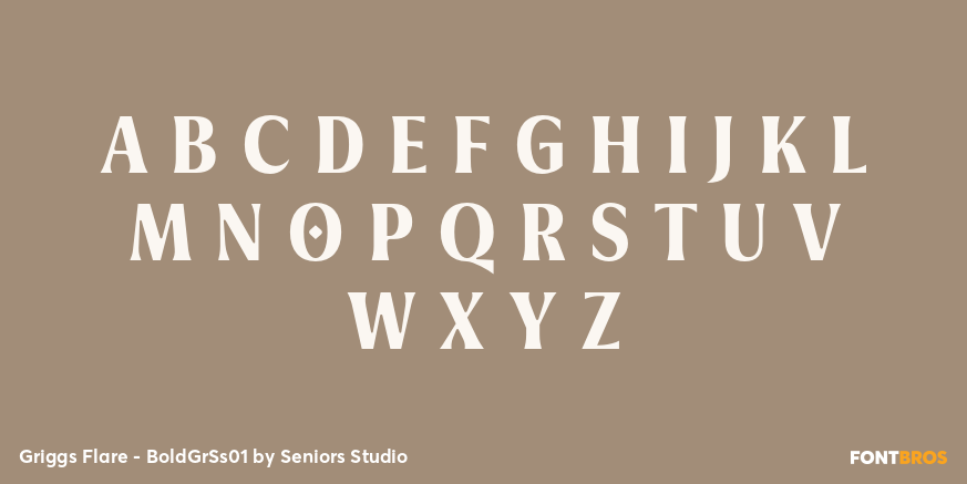 Griggs Flare - BoldGrSs01 Font Poster #2
