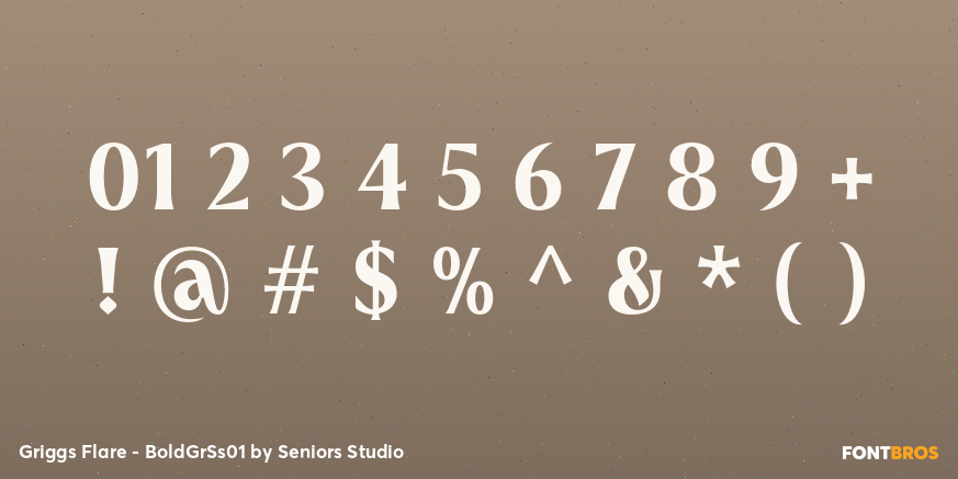 Griggs Flare - BoldGrSs01 Font Poster #4