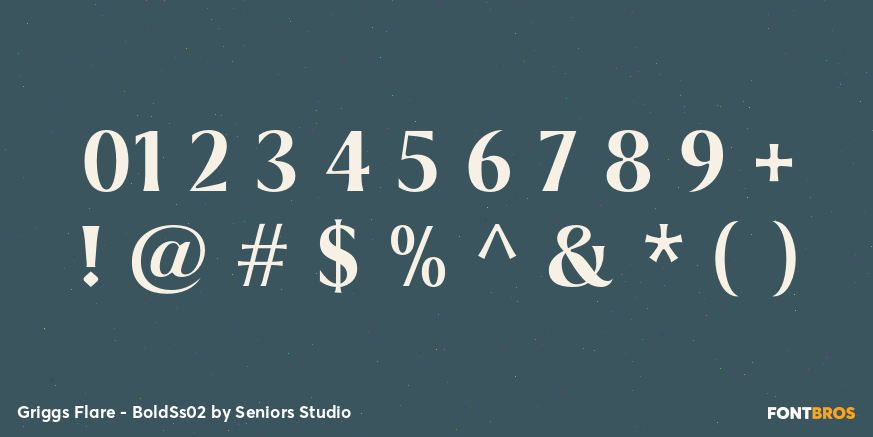 Griggs Flare - BoldSs02 Font Poster #1