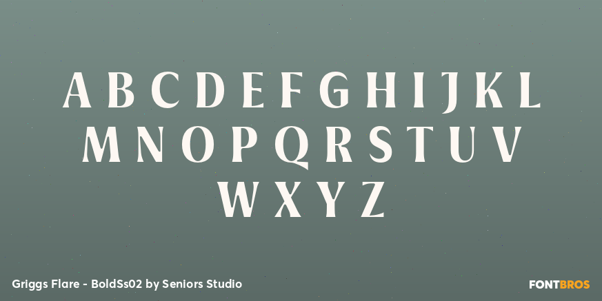Griggs Flare - BoldSs02 Font Poster #1