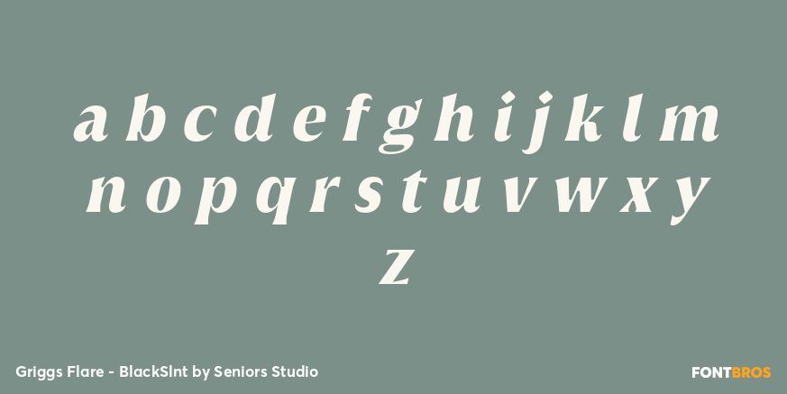 Griggs Flare - BlackSlnt Font Poster #3