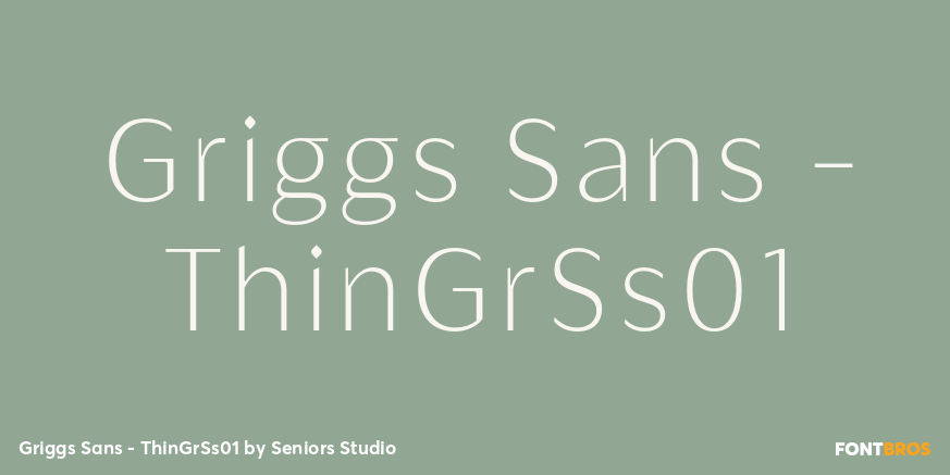 Griggs Sans - ThinGrSs01 Font Poster #1