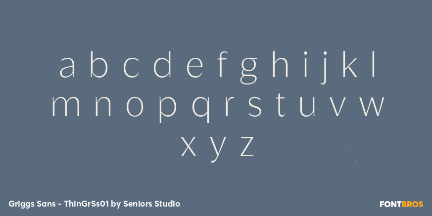 Griggs Sans - ThinGrSs01 Font Poster #3