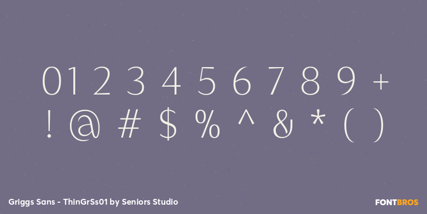 Griggs Sans - ThinGrSs01 Font Poster #4
