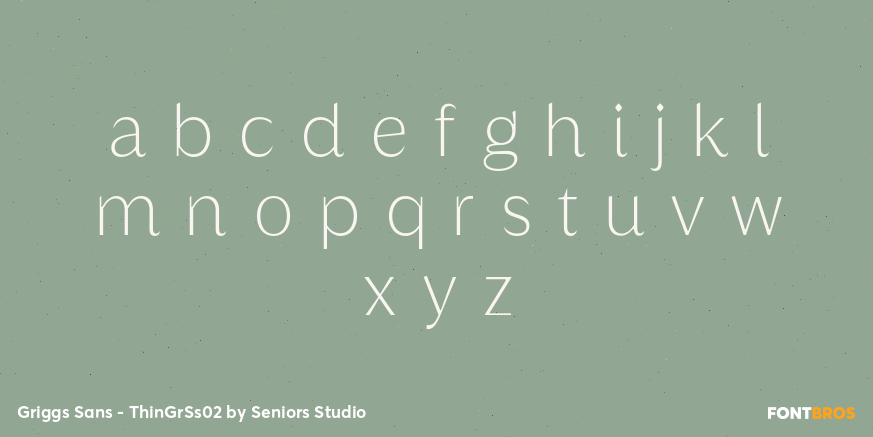 Griggs Sans - ThinGrSs02 Font Poster #3
