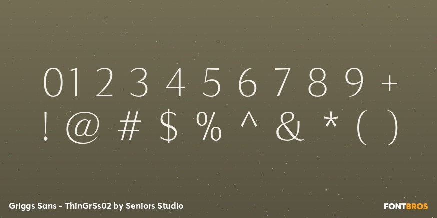 Griggs Sans - ThinGrSs02 Font Poster #4